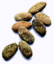 Beans