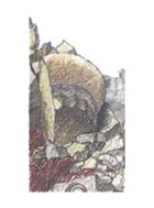 Canizaro Art